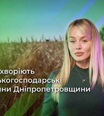 Чим і чому хворіють сільськогосподарські рослини Дніпропетровщини