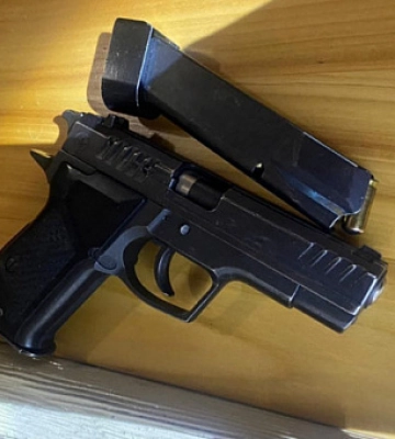 На Дніпропетровщині собака приніс додому ногу людини (18+)