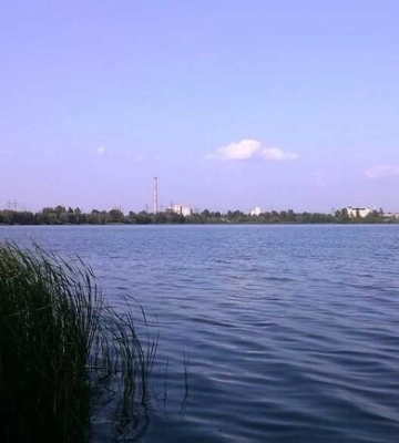 У Дарницькому районі забудовники засипали сміттям частину заказника "Озеро Тягле" - фото