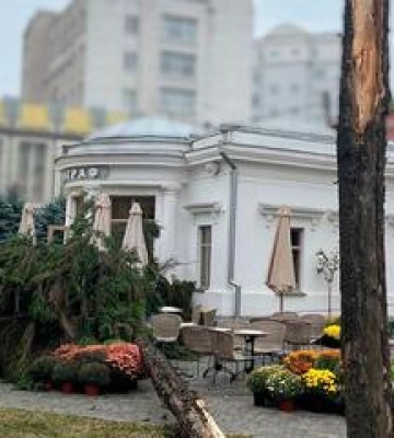 Постраждала від падіння дерева полтавка перебуває в тяжкому стані
