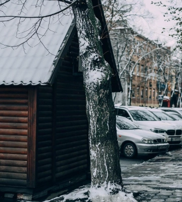 Дощ та сніг: якою буде погода в Полтаві на вихідних