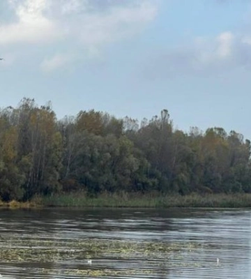 На Дніпропетровщині територіальній громаді повернуть 60 га земель вартістю 992 млн грн