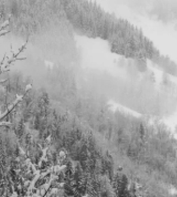 На перевалах Закарпаття чергуватиме снігоприбиральна техніка