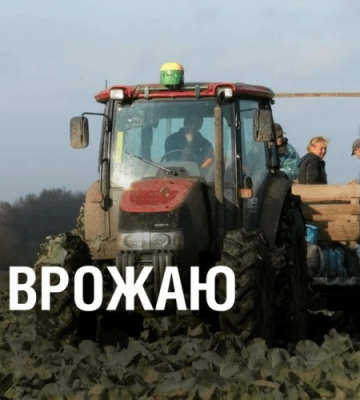 Щедрий врожай. Аграрії області зібрали понад 600 тисяч тонн картоплі та 750 тисяч тонн інших овочей