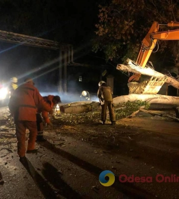 Одеса: на Пересипу велике дерево впало на дорогу 
