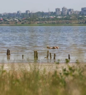Відомому заповіднику на Одещині призначать керівника