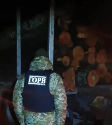 На Житомирщині зупинили вантажівку з 36 кубометрами нелегальної деревини