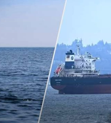 Вибух міни біля берегів Одещини: що саме сталося з зерновозом Georgia S