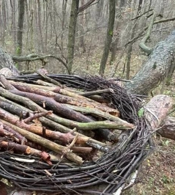 Домівки для пернатих: у Шацькому нацпарку будують гнізда для лелек