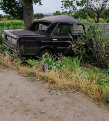 На Волині водій ВАЗ, який врізався у дерево, а потім випив, заплатить 34 тис. штрафу