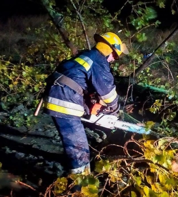 В Одесі лютує негода — вітер повалив 52 дерева
