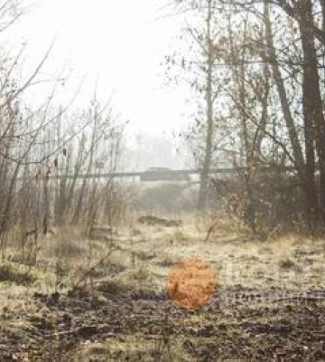 Синоптики попереджають полтавців про сильні пориви вітру та ожеледь