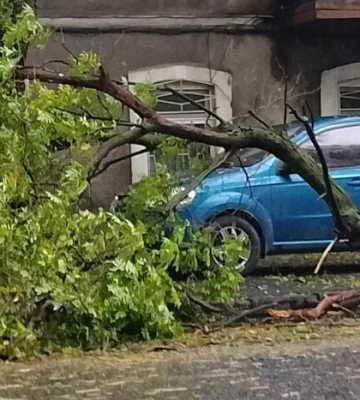 В Одесі вирує негода, пішов перший сніг (фото, відео)