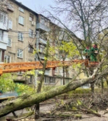 Шторм в Одесі: повалено вже 160 дерев та великих гілок