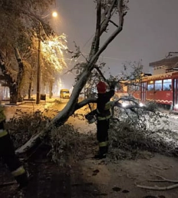 Прибирали повалені дерева, відбуксували маршрутку з пасажирами: на Дніпропетровщині рятувальники долали наслідки негоди