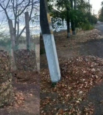 Екоактивісти зробили жителям Одещини незвичайні подарунки