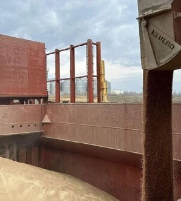 Росіяни вивезли чергову партію українського зерна з окупованого Бердянська, - Центр нацспротиву