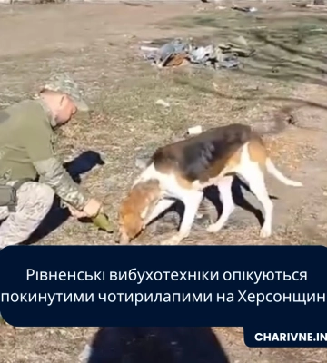 Рівненські вибухотехніки опікуються покинутими чотирилапими на Херсонщині (ВІДЕО)