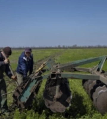 Проблеми фермерів деокупованої Херсонщини: обстріли, замінування, знищені підприємства