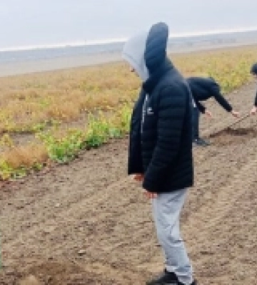 Майбутні виноградарі Білгород-Дністровського району висадили більше сотні волоських горіхів