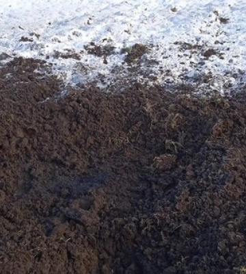 На Сумщині поліцейські документують наслідки обстрілів з боку окупантів