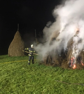 На Закарпатті водій вантажівки вчасно помітив пожежу