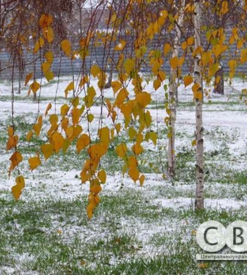 Сльота та мокрий сніг: майже зима на вулицях Кропивницького (фоторепортаж)