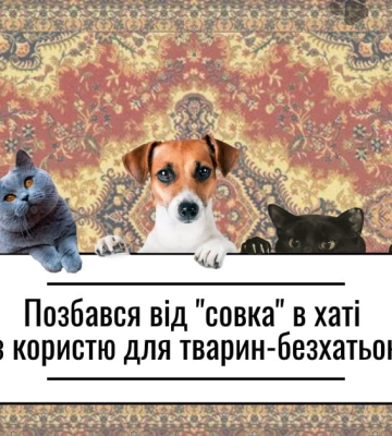 В Харькове просят горожан приносить ковры и одеяла для утепления кошек и собак