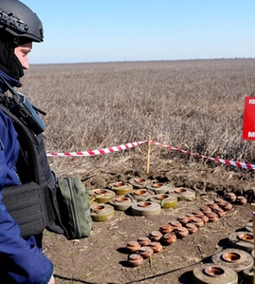 На Запоріжжі в руках грибника здетонував касетний елемент снаряда РСЗВ — фото, відео