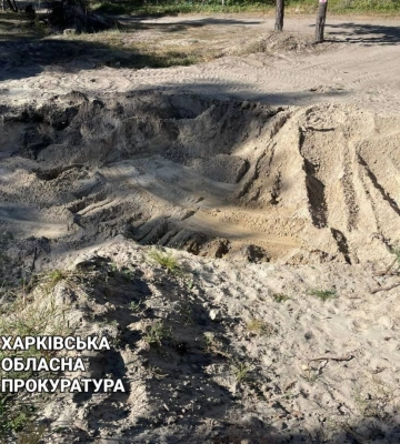 3 роки у тюрмі може провести харків’янин, який накопав у лісі 45 тонн піску