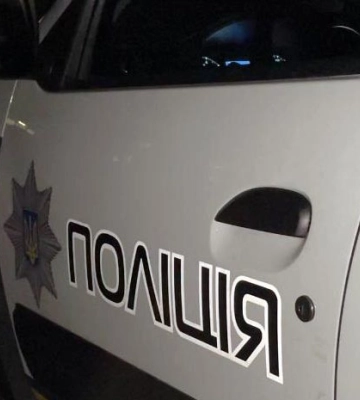 У Горішніх Плавнях затримали грабіжника