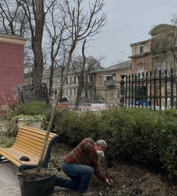 У дворі одеського худмузею висадили дерева з розплідника загиблого військового Бориса Айзенберга