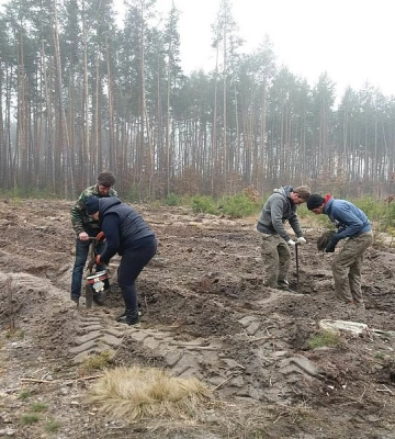 В Снігурівці засадять лісом величезну ділянку землі