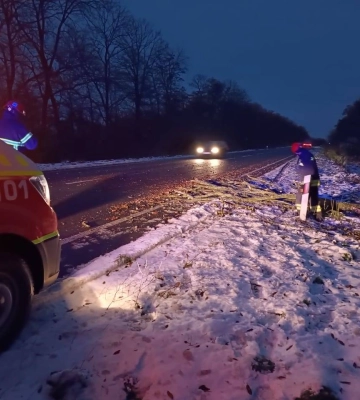 У Луцькому районі на проїжджу частину дороги впало дерево