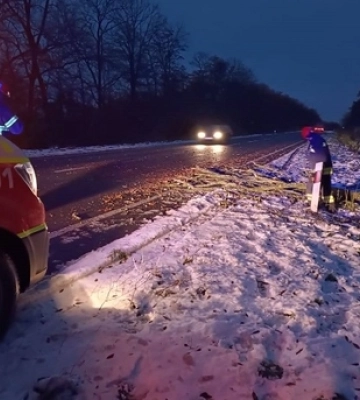 У Луцькому районі буревій повалив дерево на дорогу 
