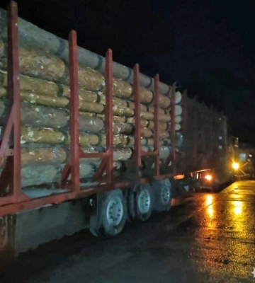 На Рівненщині поліцейські викрили зловмисників на незаконному перевезенні деревини