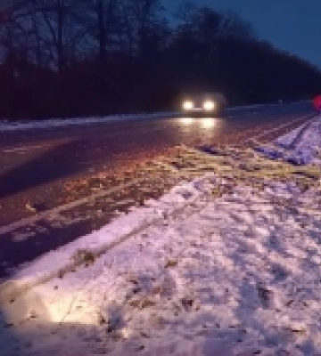 На трасі біля села Шепель вітер повалив дерево