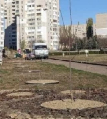 На Миколаївщині у громаді висадили 175 дерев та кущів
