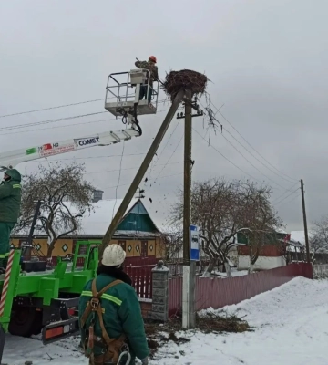 Нові безпечні гнізда для лелек монтують енергетики Рівненщини