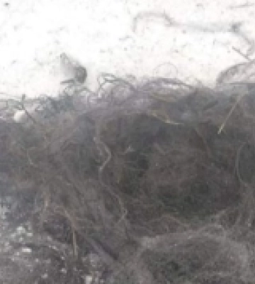 З шацьких озер на Волині витягли вісім риболовних сіток