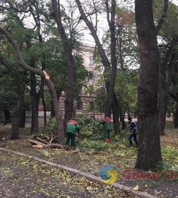 В Одесі ліквідовують наслідки негоди 