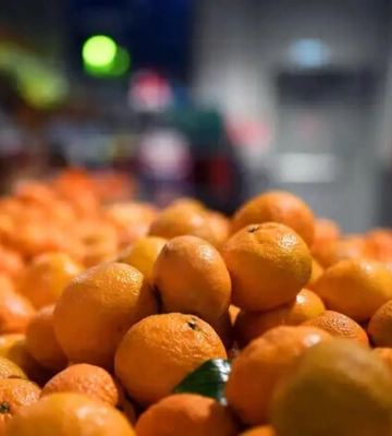 В магазинах Запорожья могут попадаться ядовитые мандарины из Египта