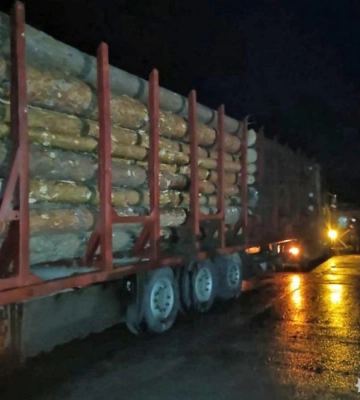 На блокпосту на Рівненщині зупинили вантажівку, у якій незаконно перевозили деревину