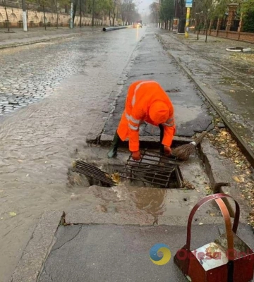 Негода повалила в Одесі 14 дерев та великих гілок 
