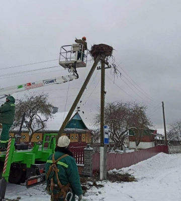 Енергетики встановили безпечні гнізда для лелек на Рівненщині