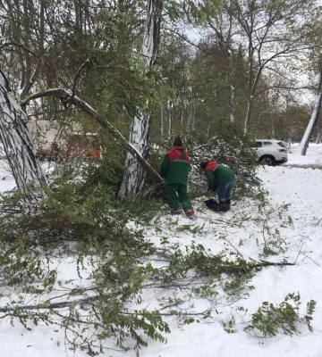 В Одесі повалило 117 дерев