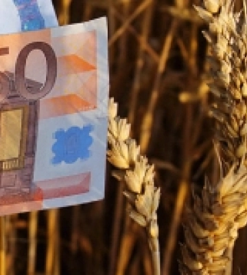 Як аграрії Закарпаття залучають фінансову допомогу