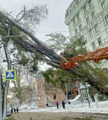 В Одессе три человека замерзли насмерть - СМИ