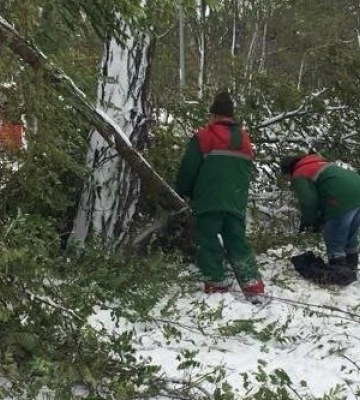 ЗМІ: В Одесі знайшли тіла трьох замерзлих на смерть людей