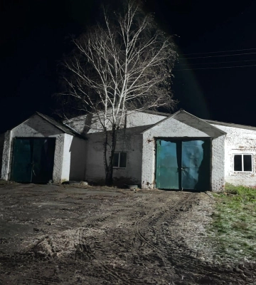 На Горохівщині відшукали вкраденого... коня